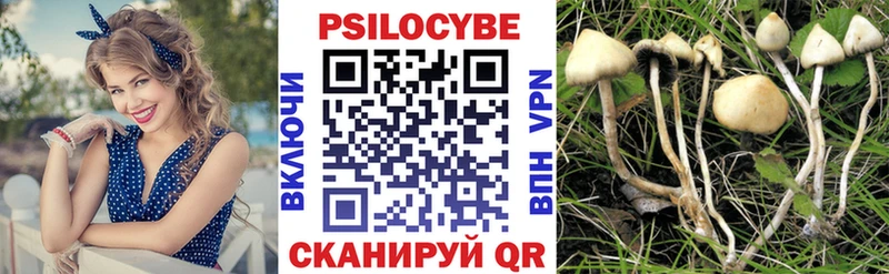 Галлюциногенные грибы мицелий  Владимир 
