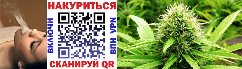 маркетплейс формула  Владимир  Шишки марихуана гибрид 